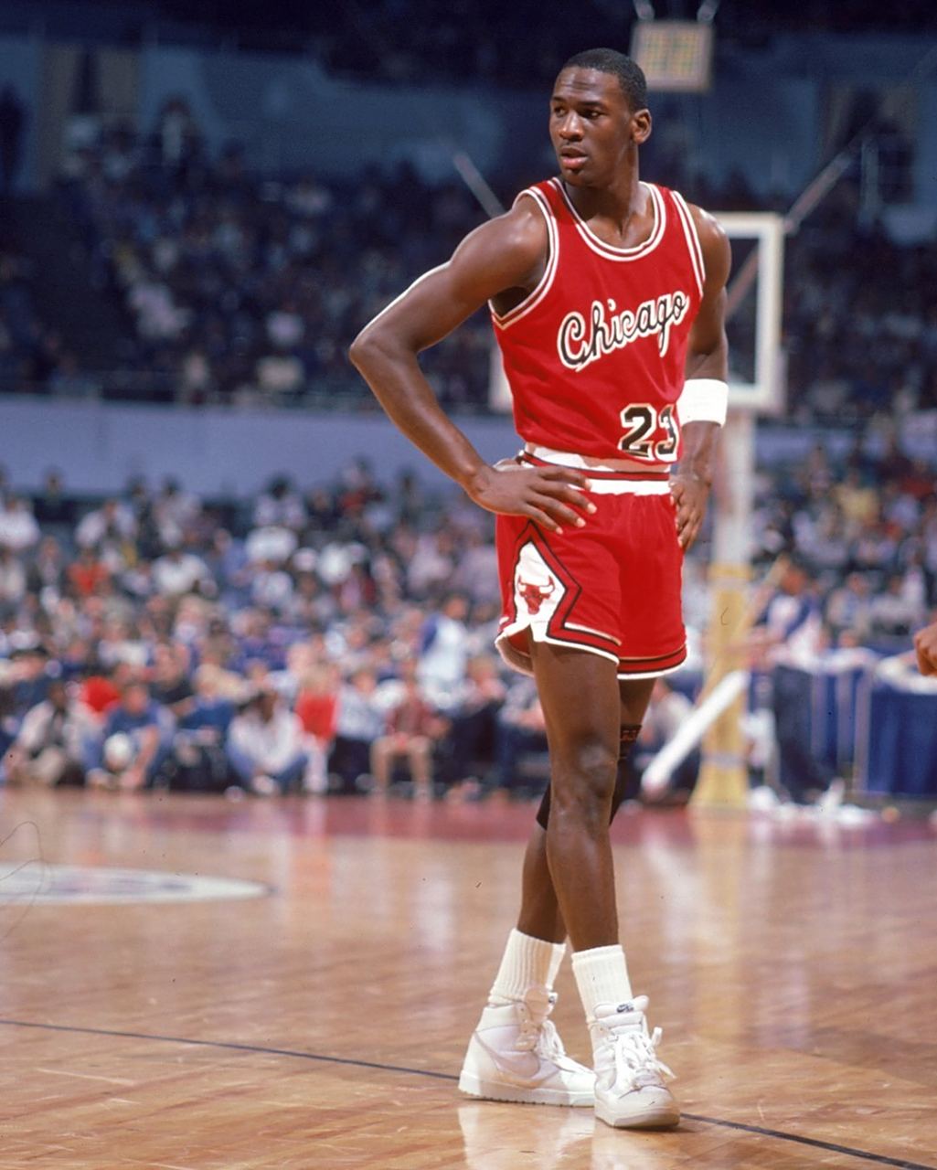 的辉煌历史 的辉煌历史