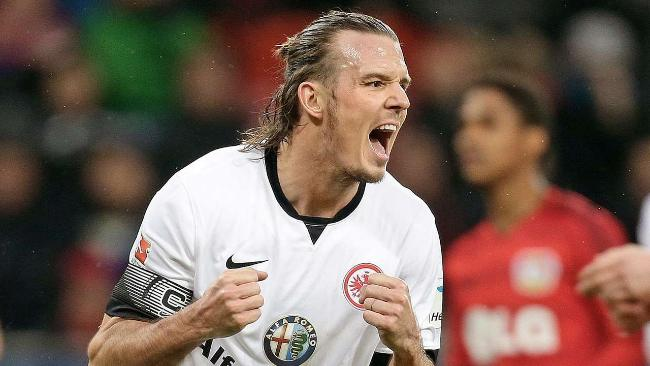 這位荷蘭球 這位荷蘭球