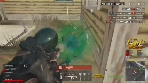 切尔西的阶 切尔西的阶