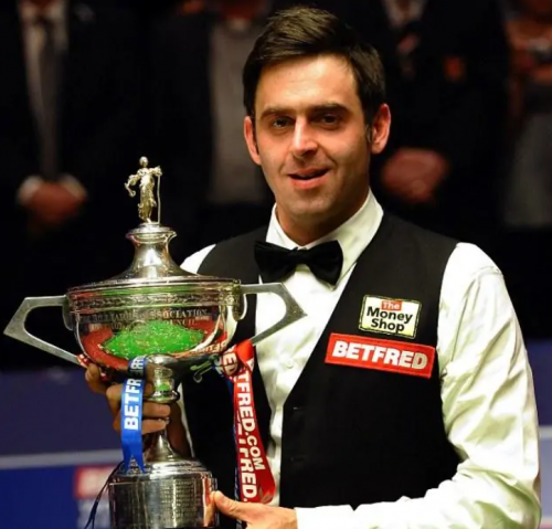 主导体验 主导体验